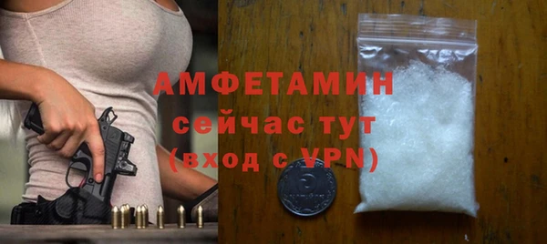 МДПВ Каменка