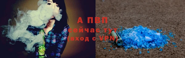 МДПВ Каменка