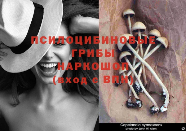 кристаллы Касимов