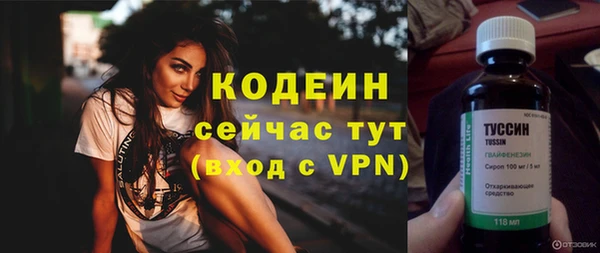 МДПВ Каменка